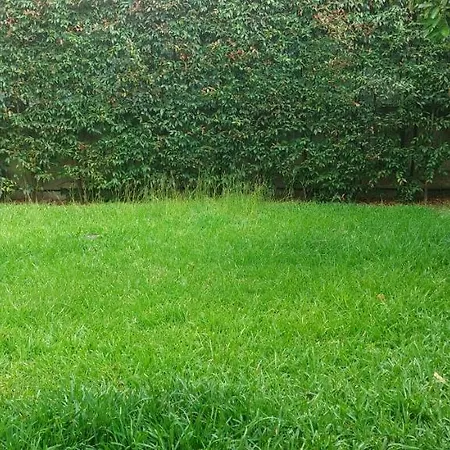 Barnet House Lamezia Lamezia Terme