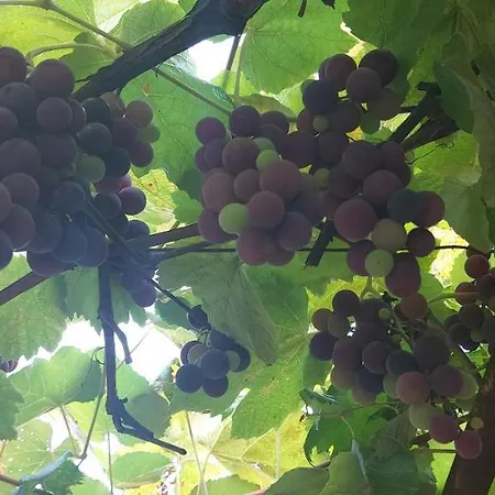 Appartement Barnet House Lamezia *