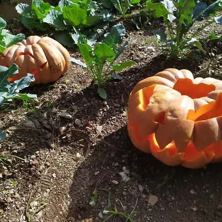 Barnet House Lamezia * Lamezia Terme