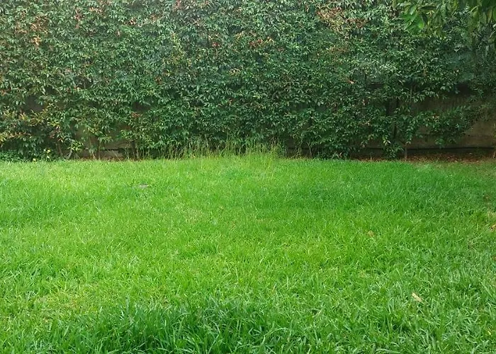 Barnet House Lamezia למזיה טרמה