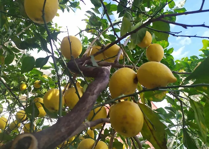 Barnet House Lamezia * Lamezia Terme