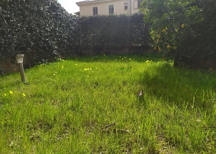 Barnet House Lamezia Lamezia Terme