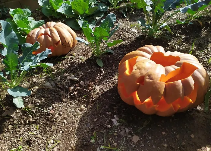 Barnet House Lamezia * Lamezia Terme